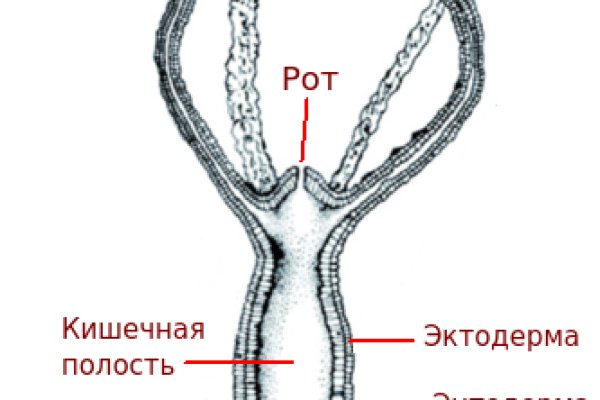 Кракен маркетплейс ссылка