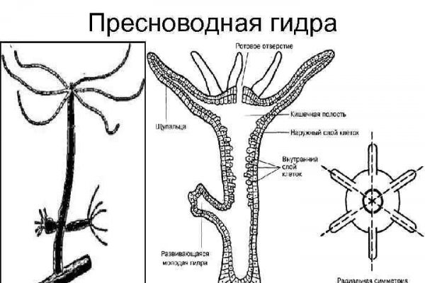 Кракен ссылка официальная в тор