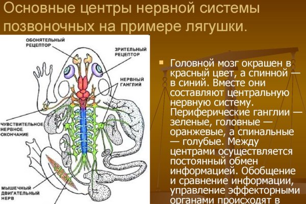 Кракен официальный